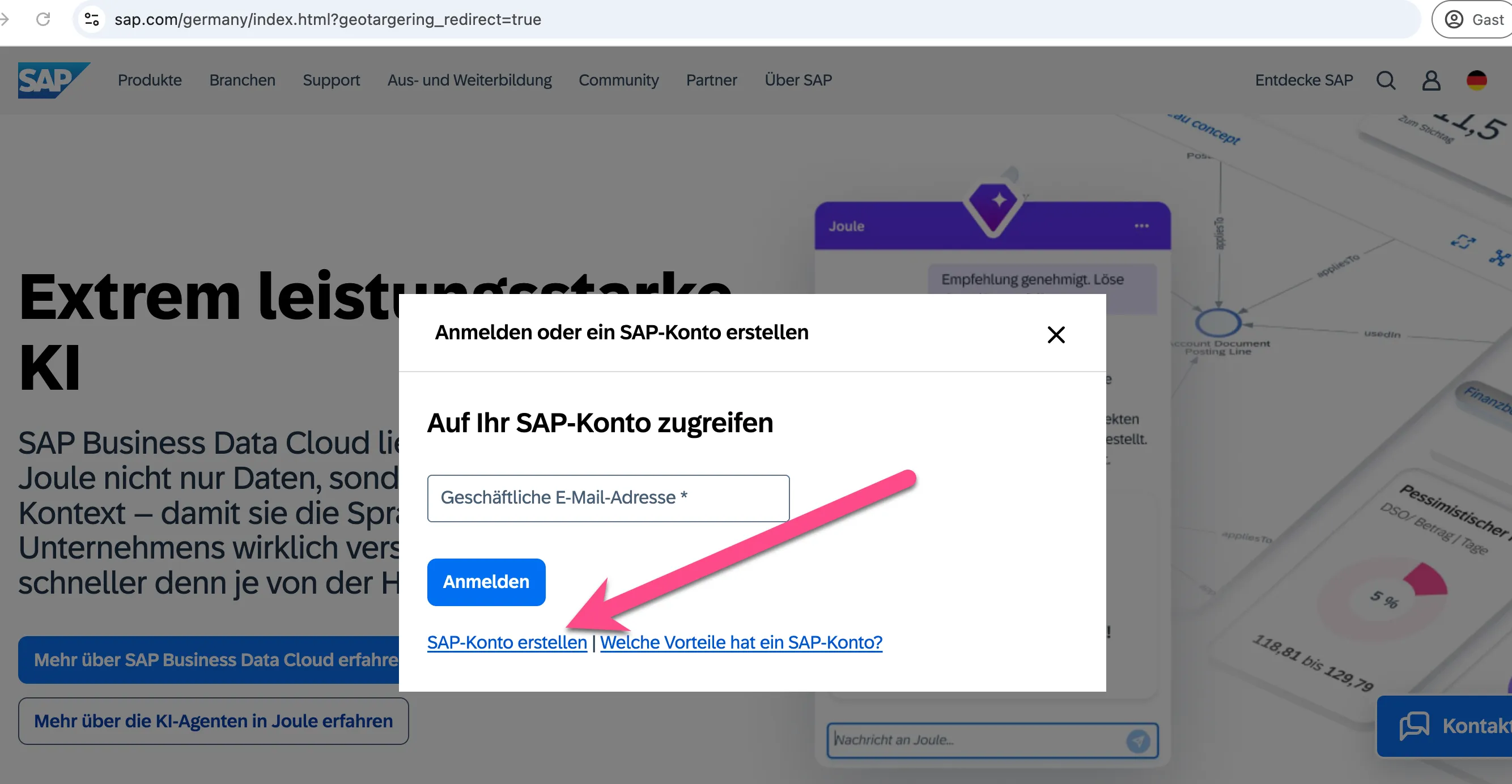SAP Anmeldefenster